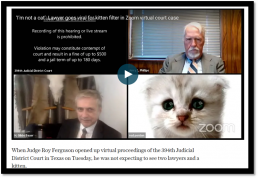 lawyer goes viral for kitten filter in zoom virtual court case