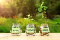 Startup, investment, success. Plants growing from coins outside the glass jars on blurred green natural background. Money saving and investment financial concept.